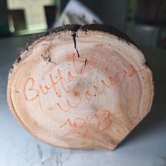 Kachina Doll White Buffalo Warriors FBB Signed Handmade Fur Wood 10 Inch Native - Picture 6 of 12